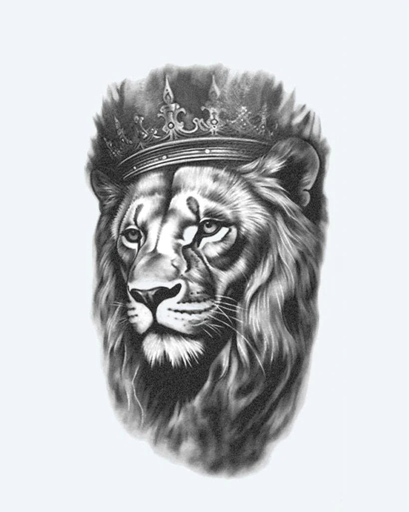 Suemos- León Coronado 2