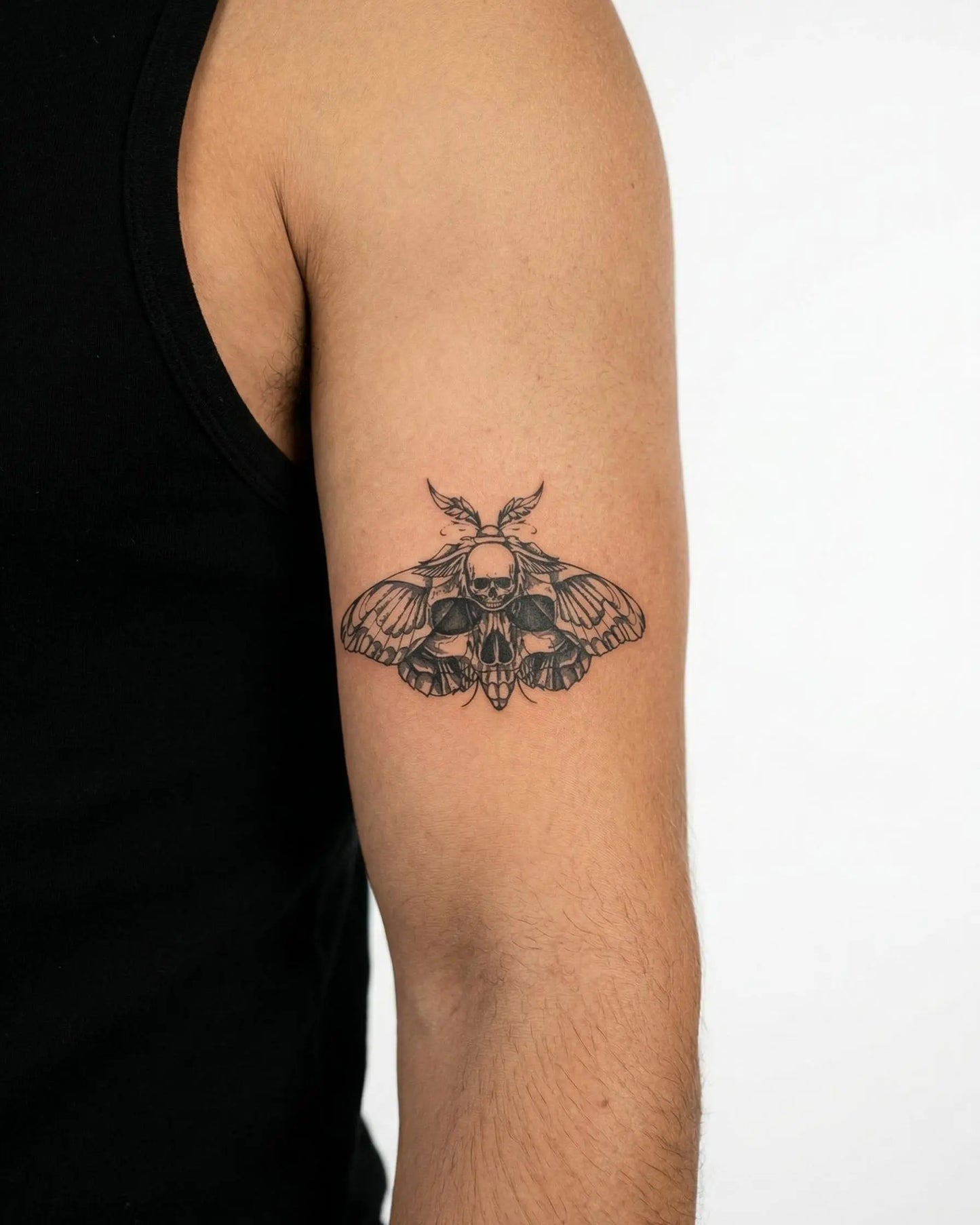 Suemos - Polilla Calavera