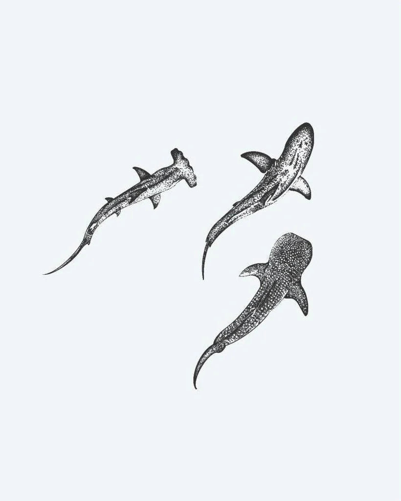 Suemos - Tres Tiburones