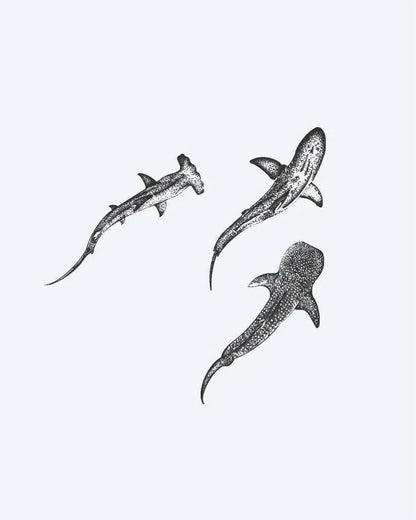 Suemos - Tres Tiburones