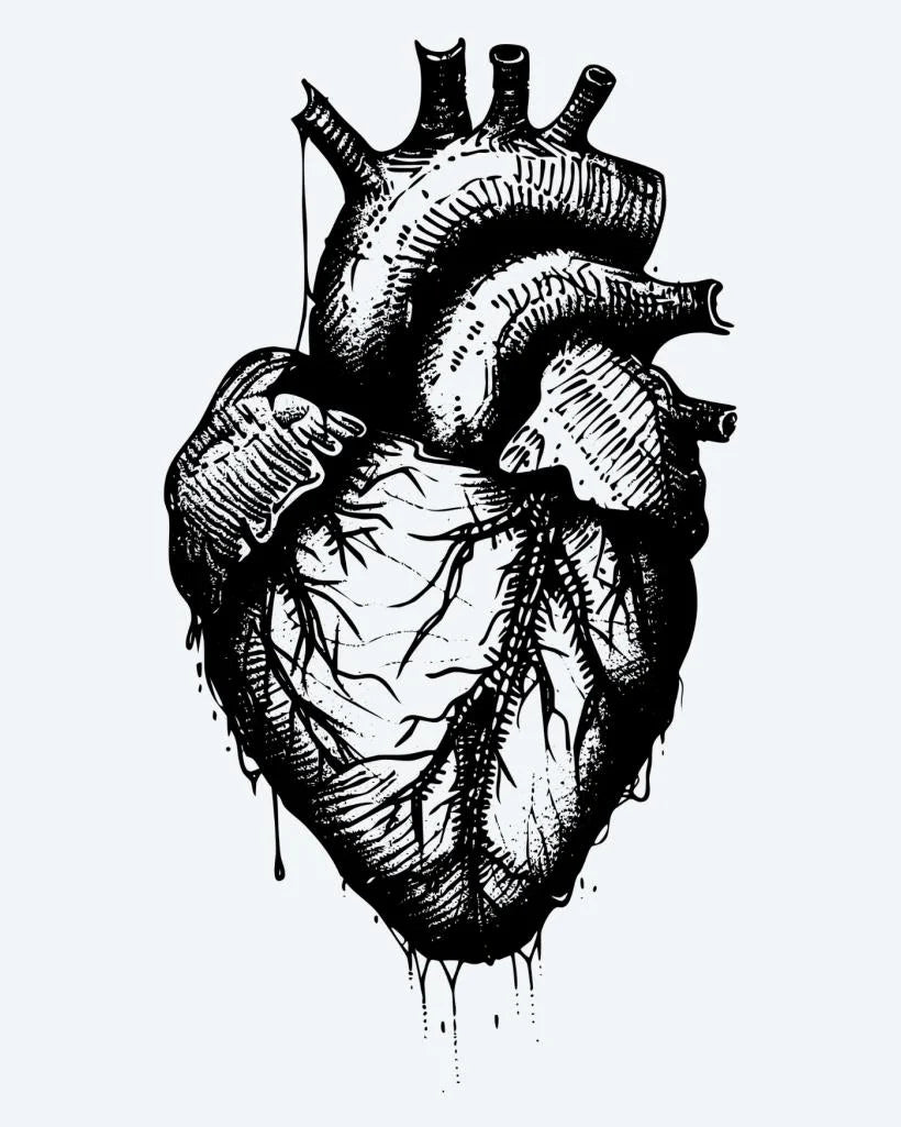 Suemos - Corazón Anatómico