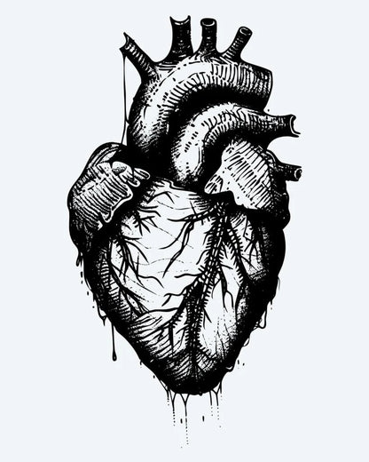 Suemos - Corazón Anatómico