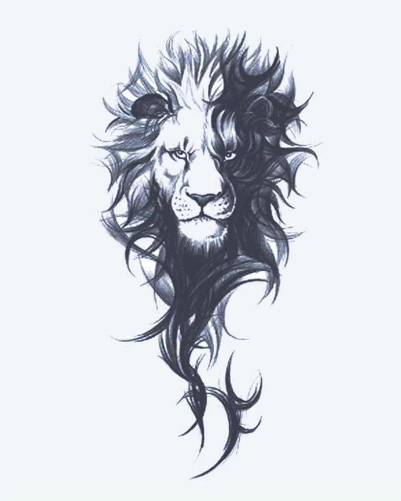 Suemos- León Majestuoso