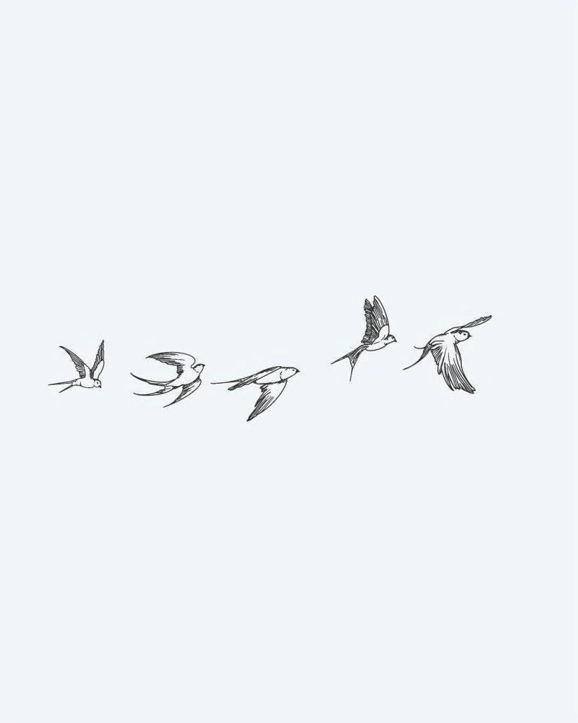 Suemos- Golondrinas en Vuelo