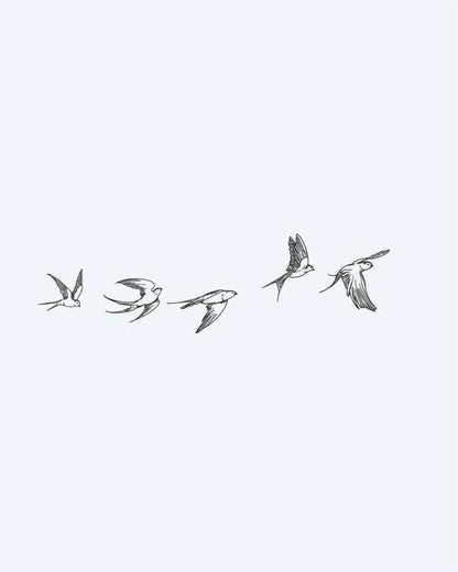 Suemos- Golondrinas en Vuelo