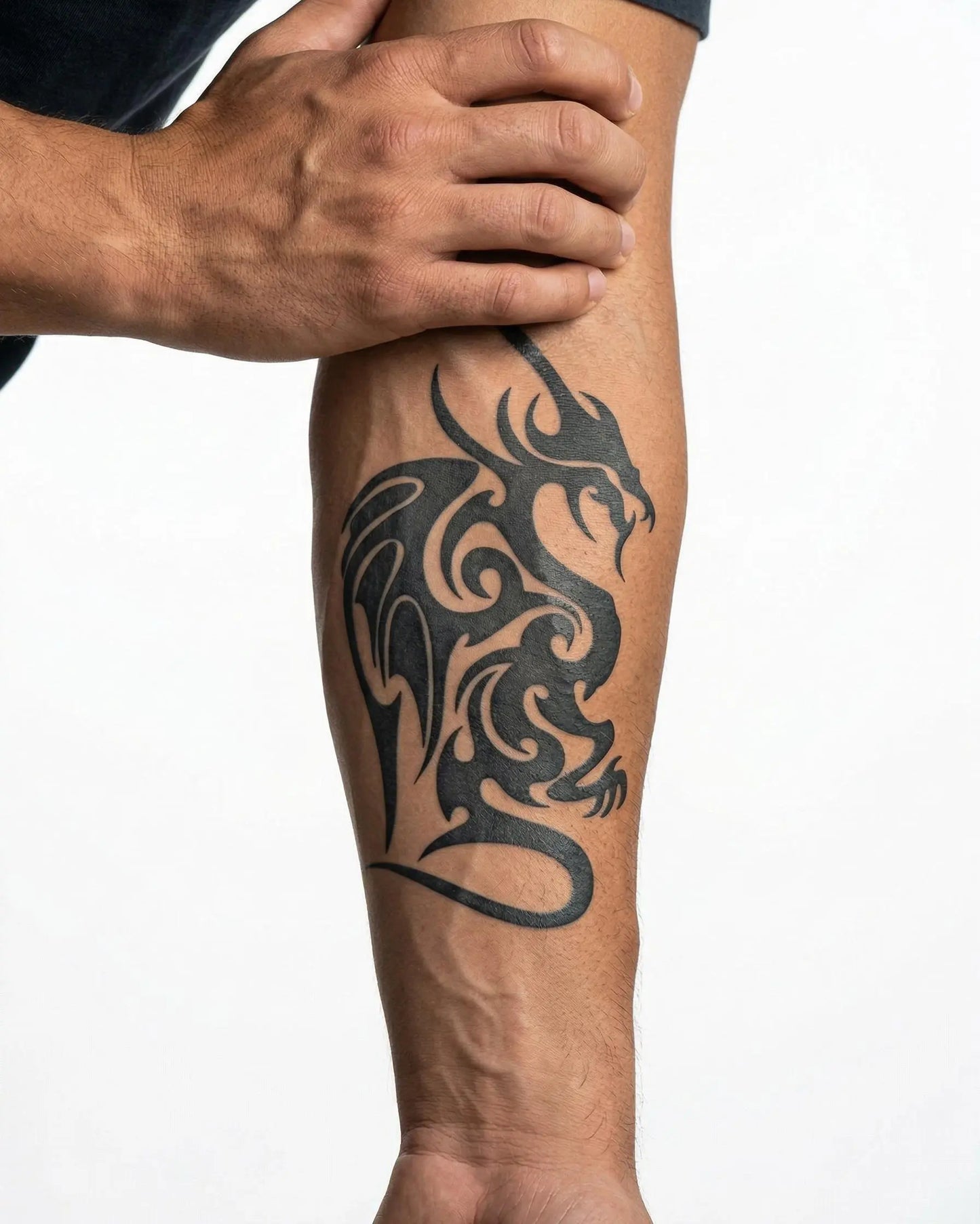 Suemos- Dragón Alado