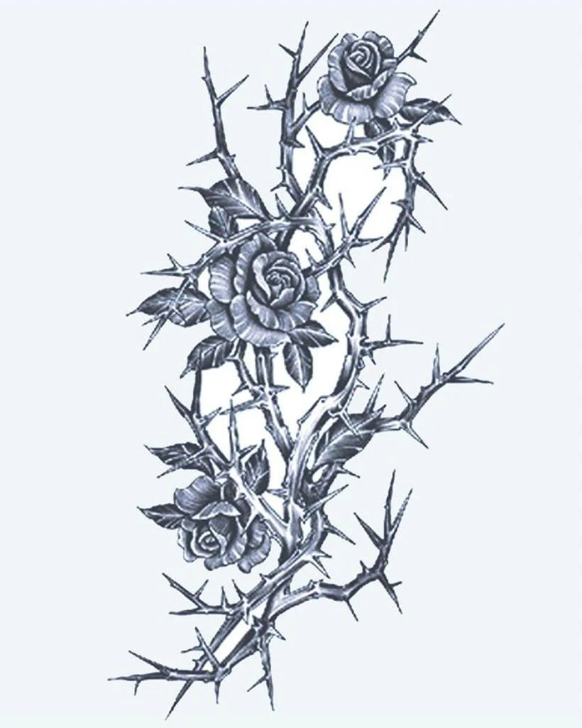 Suemos- Rosas y Espinas