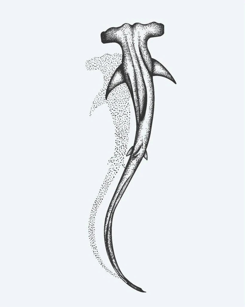 Suemos - Tiburón Martillo