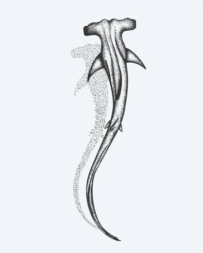 Suemos - Tiburón Martillo